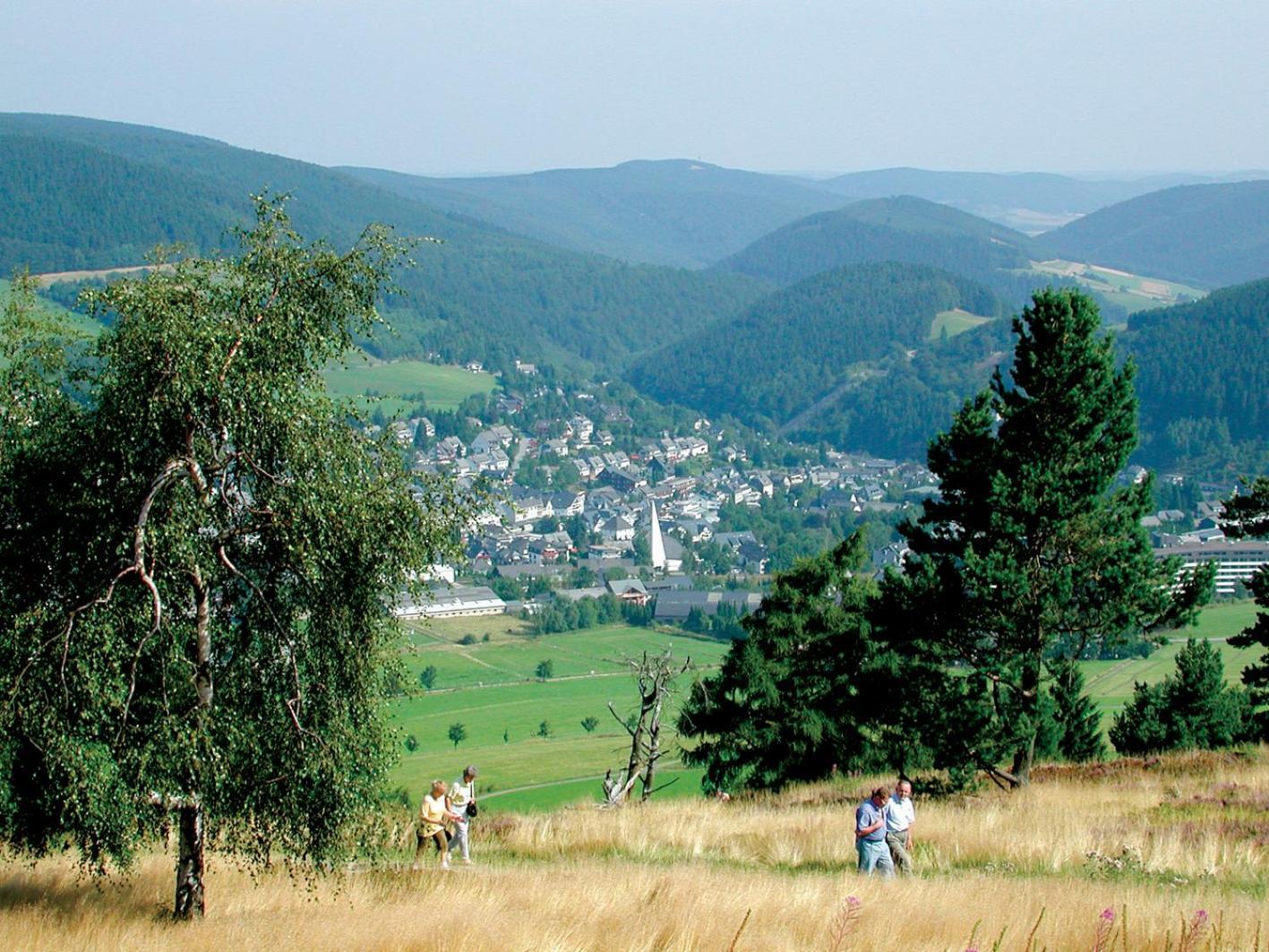 Chalet La Belle Willingen Willingen  Kültér fotó